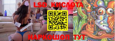 крисы Будённовск