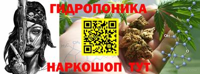 крисы Будённовск