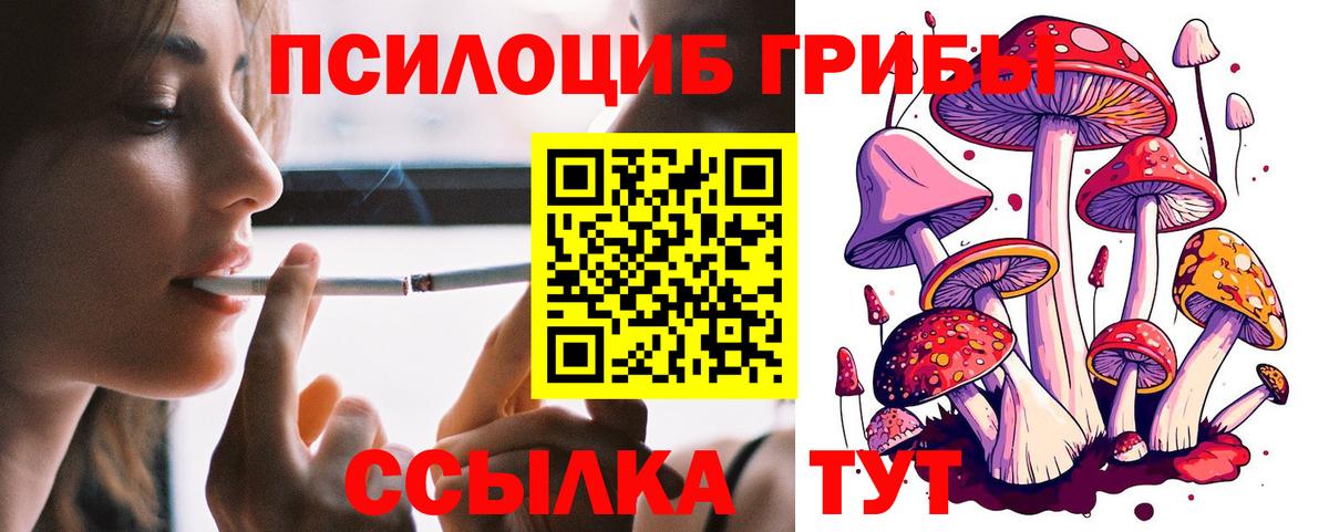Псилоцибиновые грибы ЛСД  наркота  Псилоцибиновые грибы мухоморы  Якутск  Вход с VPN 